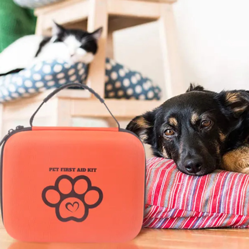 Pet First Aid Kit for Cats vs. Dogs: What You Need to Know