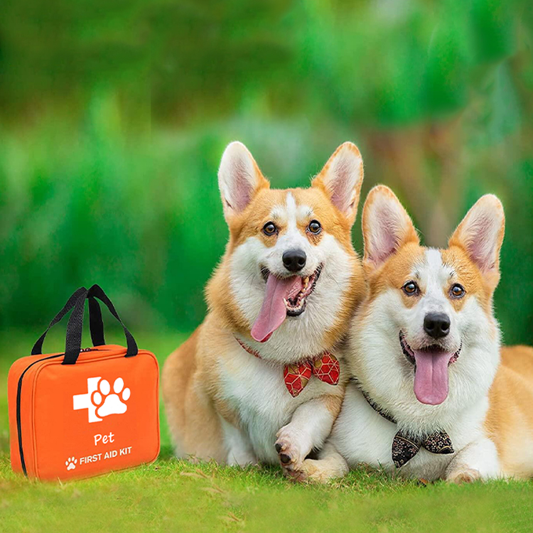 Portable Pet Care Equestrian Emergency Medicine First Aid Kit Bag for Pets Dogs & Cats Horses Pet with Colla Travel Emergencies