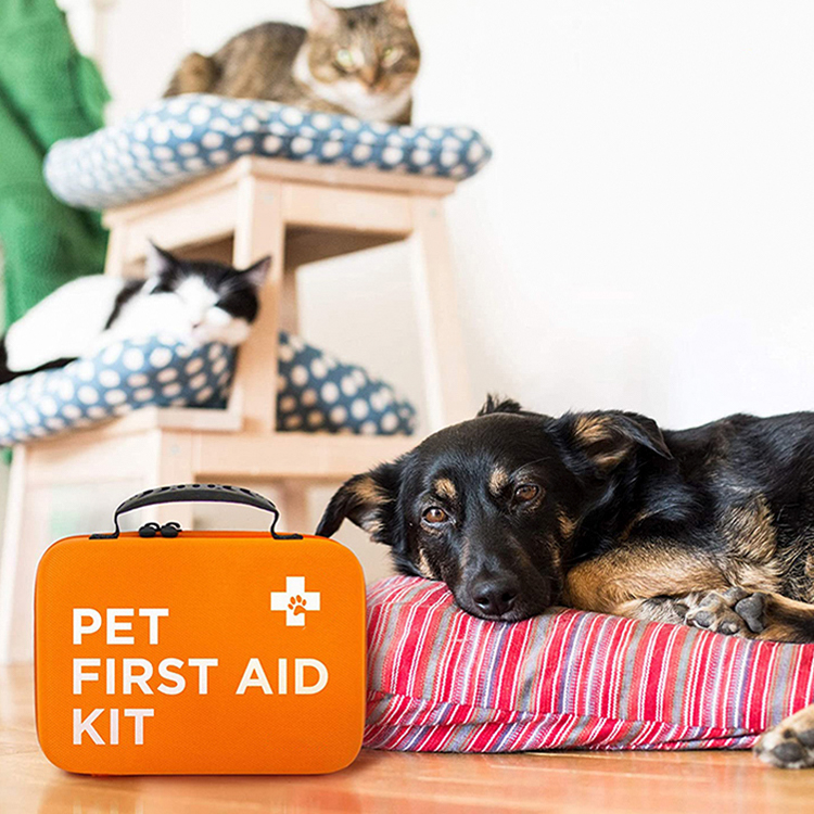 Cat & Dog First Aid Kit for Car - Pet Emergency Kit for Home Office Travel – Dog Camping Essentials with Digital Thermometer, Muzzle & Mini First Aid Pouch